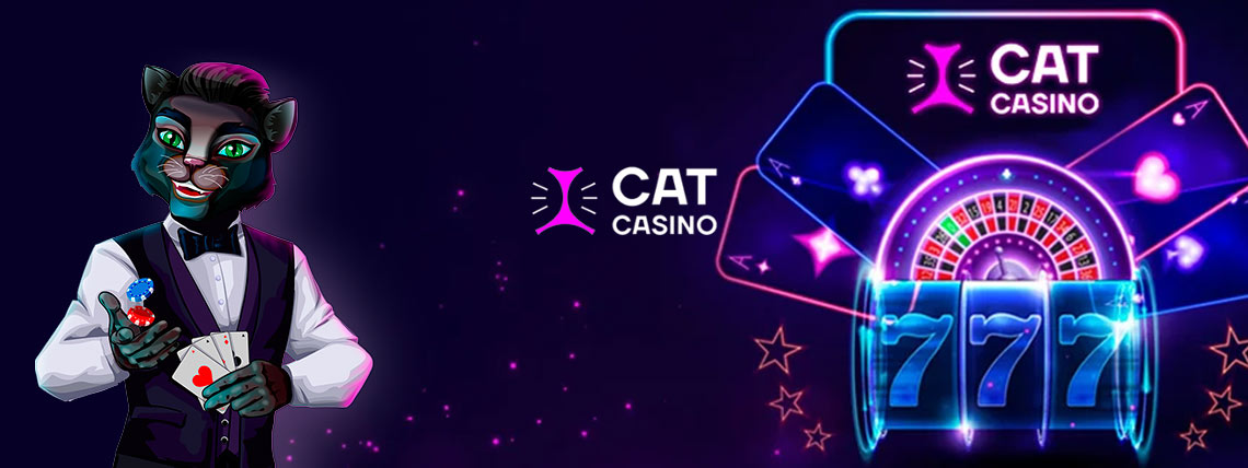 cat casino no deposit crypto
